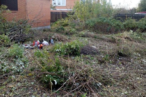 Расчистка участков