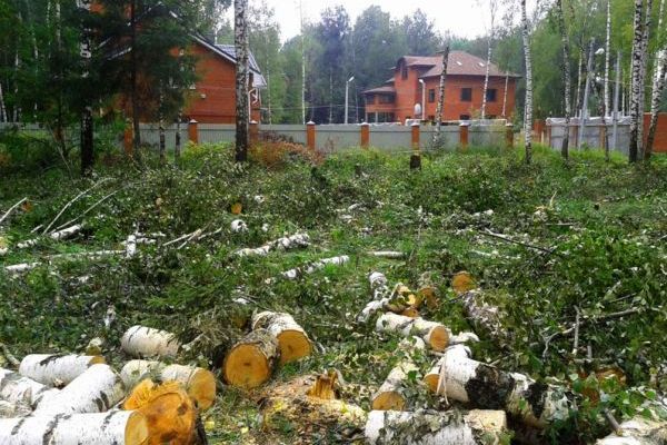 Расчистка участков Киев